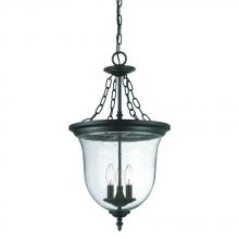 Acclaim Lighting 9316BK - Belle Collection Hanging Lantern 3-Light Outdoor Matte Black Light Fixture