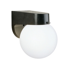 ELK Home Plus SL94357 - Essentials 1-Light Outdoor Wall Lantern in Black
