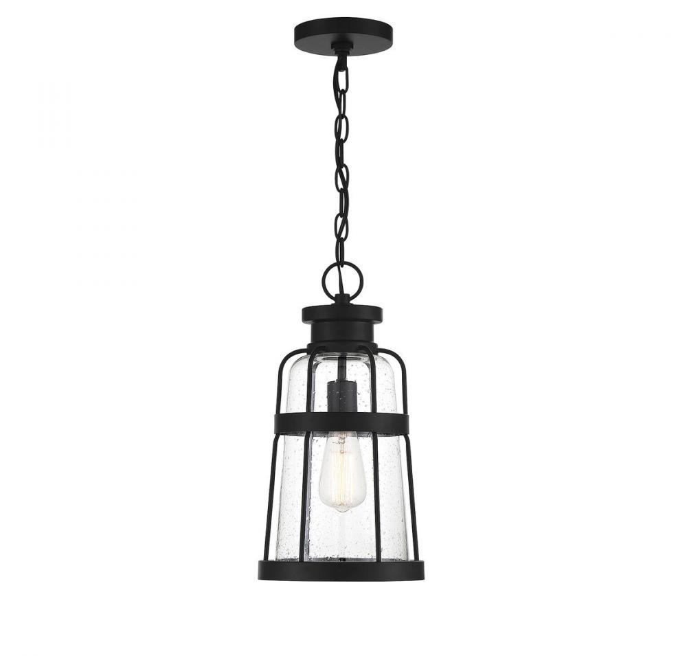Quinton 1-Light Outdoor Hanging Lantern in Matte Black